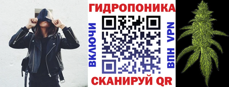 Конопля Bruce Banner  Купить  Губкинский 